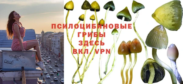 круглые Алексин