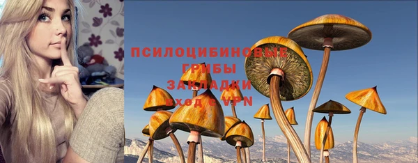 не бодяженный Алзамай