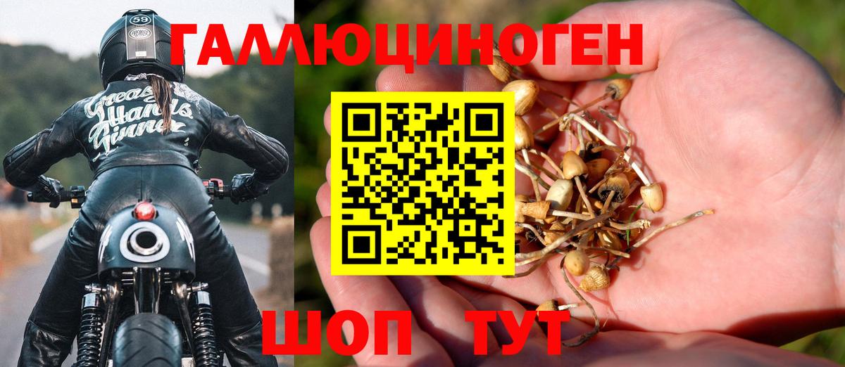 Галлюциногенные грибы Magic Shrooms Камышин
