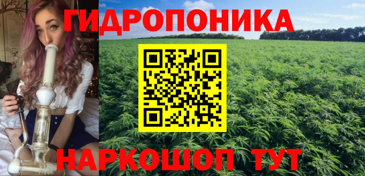 Канабис сатива Камышин